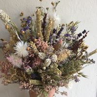Tørredeblomster