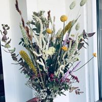 Tørredeblomster